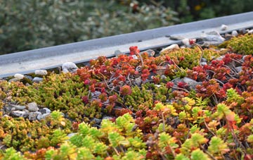 the cost of Lumb green roof installation