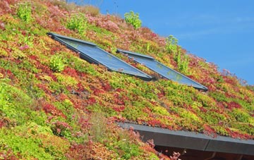 Lumb living roof systems
